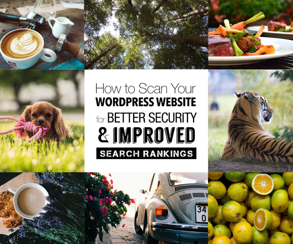 How to Scan Your WordPress Website for Better Security and Improved Search Rankings