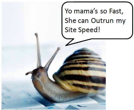 Must-Have Site Speed Plugin for WordPress